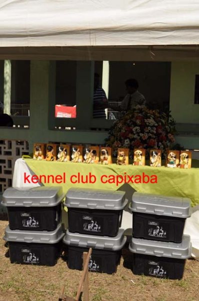 Clique sobre a foto para fechar